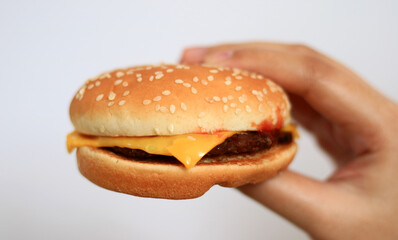 Hand holding burger on white background.