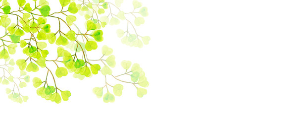 Background, banner made of green and yellow twigs. made of green twigs.Top and bottom border, frame made of  plants and  leaves,watercolor illustration isolated on blue background.