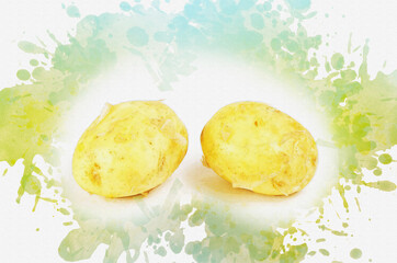 Raw, unpeeled potatoes. Two ripe root vegetables in the peel. Food, ingredients. Digital watercolor painting.