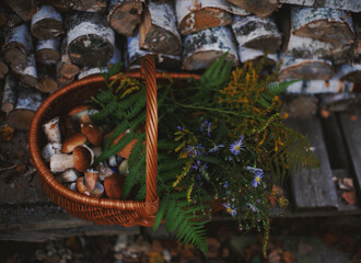 Mushrooms and a bouquet of flowers on a chair.