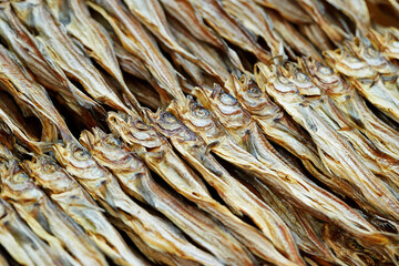Dried fish on display in a traditional market