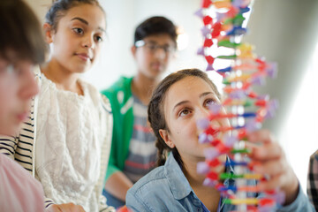 Obraz na płótnie Canvas Students examining DNA model in classroom laboratory