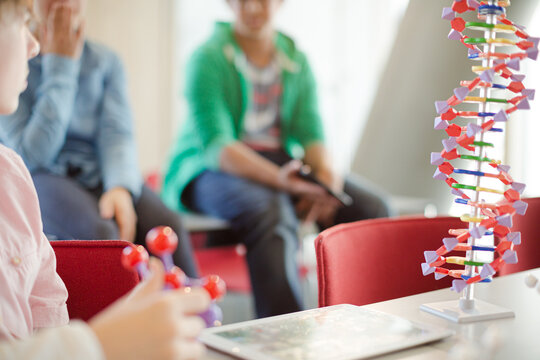 Students examining DNA model in classroom laboratory