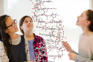 Curious girl students examining molecular structure in classroom