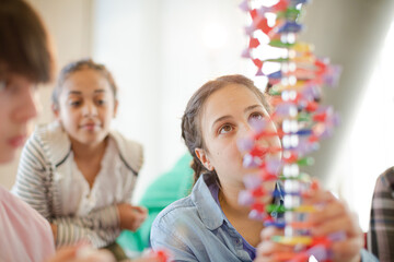 Students examining DNA model in classroom laboratory