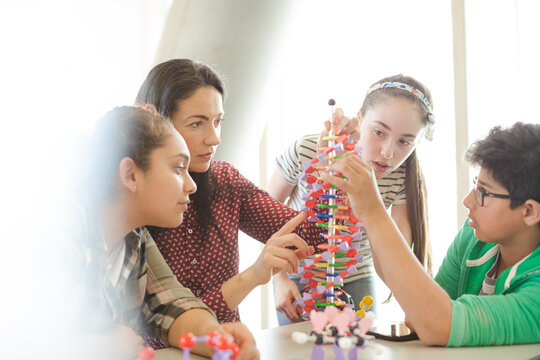 Female teacher and students examining DNA model in classroom