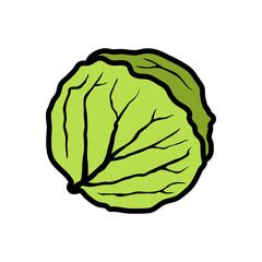 cabbage - vegetables icon vector design template