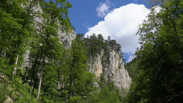 Mountain Landscape, trees on rock, blue sky, moving clouds, Vlasic mountain, Bosnia and Herzegovina - (4K)