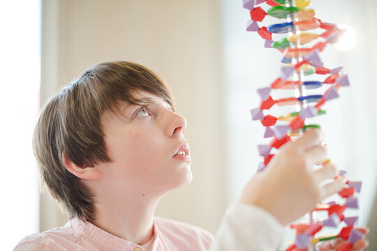 Boy student examining DNA model in classroom