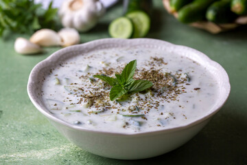 Traditional delicious appetizer; tzatziki (Turkish name; cacik)