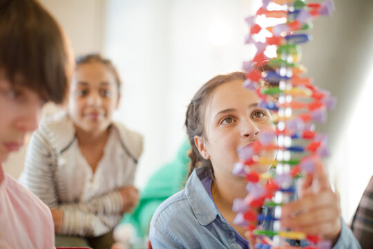 Students examining DNA model in classroom laboratory