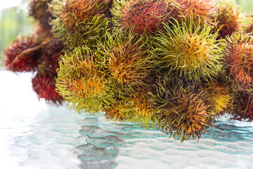 rambutan furry fruit branch of exotic fruit close up