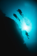 Scuba diver silhouettes swimming around coral reef in clear blue ocean