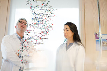 Serious scientists examining hanging molecular structure