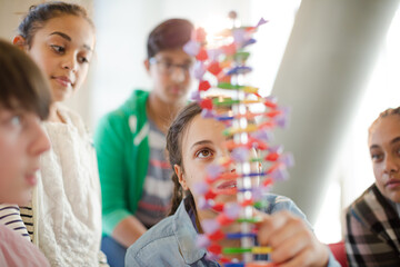 Students examining DNA model in classroom laboratory