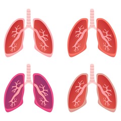 Vector illustration set of a lung with its internal structure, suitable for advertising health and education products