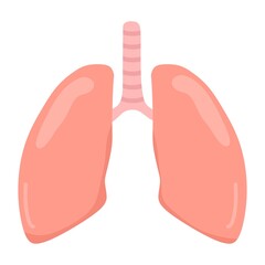 Vector illustration of healthy lungs, suitable for advertising health and education products