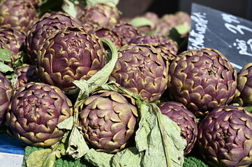 Fototapeta premium Artichokes on a farmers market, Brussels, Belgium