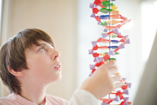 Boy student examining DNA model in classroom