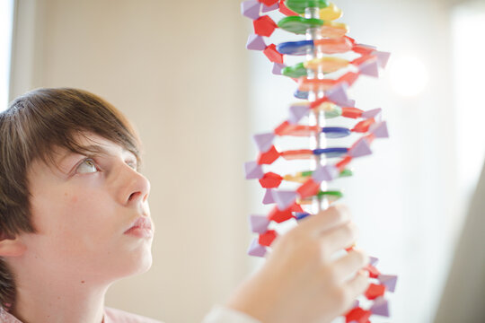 Boy student examining DNA model in classroom
