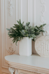 spruce branch in a white vase