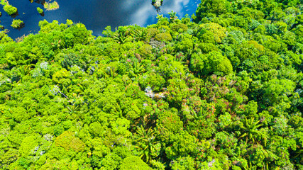 Rio Negro in Açutuba

Amazonas, Brasil