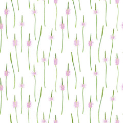 Watercolor Ribwort or plantain lanceolate flowers in seamless pattern on white background. Hand drawing illustration. Perfect  for wrapping or textile.