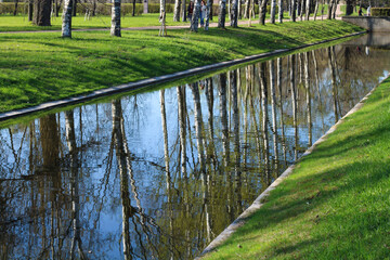 Illusion of water in the park. Reflection of trees in the grass