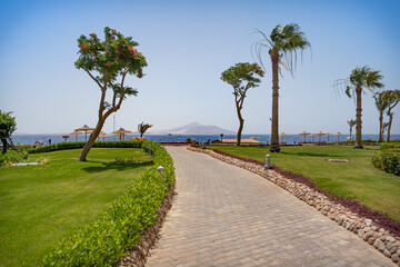 Beautiful view of the alley leading to the beach and the sea between the trees and palm trees. In the distance, you can see the island of Tirana, Egypt, Sharm el Sheikh.
