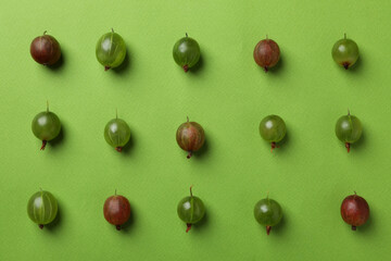 Flat lay with gooseberry on green background