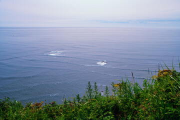Landscape. View of the Pacific Ocean from a high cape. Kamchatka Coast