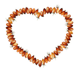 Heart made of different berries on a white background. Watercolor