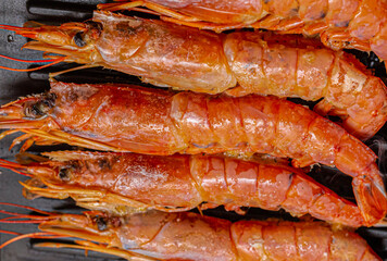 large Argentinean pink prawns close-up lie in parallel