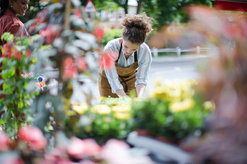 Female florist checking plants at sunny flower shop storefront