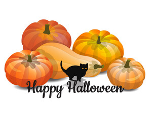 Halloween pumpkins and black kitten