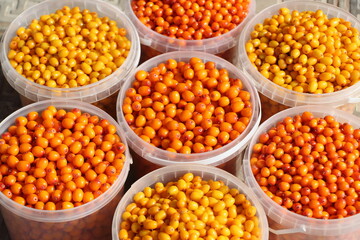 sea buckthorn berries