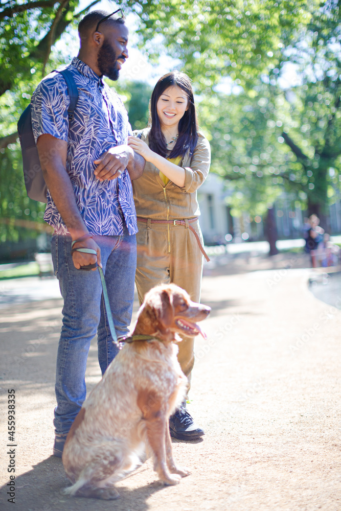 Wall mural happy young couple walking dog in sunny park