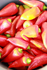 red and green peppers