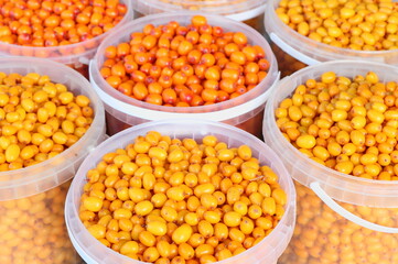 sea buckthorn berries