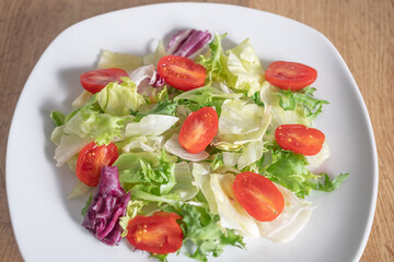 dietary summer vegetable salad with herbs
