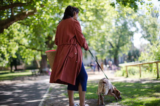 Pregnant woman walking dog in park