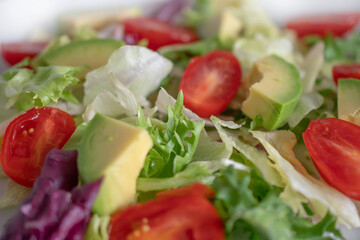 dietary summer vegetable salad with herbs