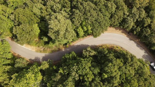 voiture sur une route sinueuse dans la for&ecirc;t