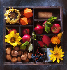 Hello season autumn card. Autumn composition with flowers and fruits in a wooden box, top view.