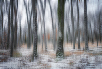 nature background, with snowy winter forest, with motion blur