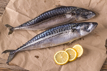 Two freshly frozen mackerels on wrapping paper with lemon wedges
