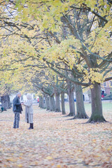 Affectionate couple hugging, walking among trees and leaves in autumn park