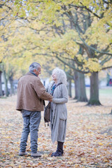 Fototapeta premium Affectionate senior couple holding hands, walking among trees and leaves in autumn park