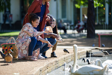 Friends feeding ducks and geese at sunny park pond