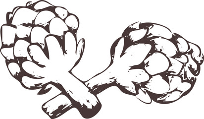 Hand drawn outline abstract vector image. Artichoke silhouette isolated on transparent background. Eps vegetable vintage art print for label, packaging, 
product design